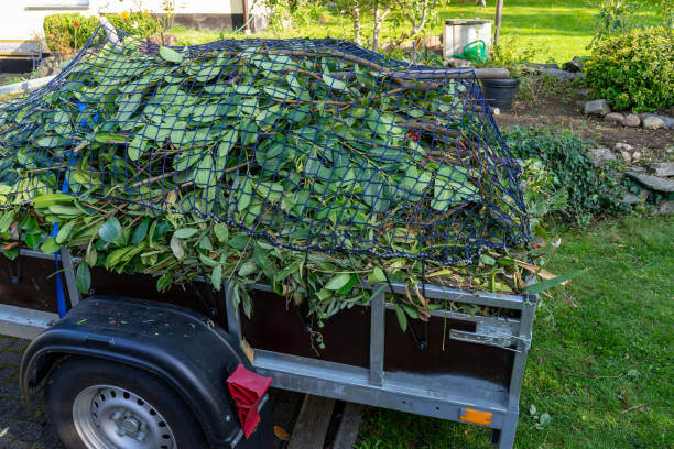 Moving and Downsizing Cleanouts in Glouster, OH